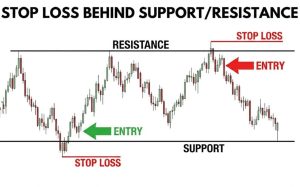 ۱۱. تودور (Tudor) ساعت تودور (Tudor)، تمام آنچه که باید درباره این برند بدانید» به‌عنوان مقاله پیلار بنویس با هدینگ‌های : «معرفی و تاریخچه ساعت Tudor (تودور)»، «ویژگی‌های ساعت Tudor (تودور)»، «مدل‌های مختلف ساعت Tudor (تودور)»، «چگونه اصالت ساعت Tudor را تشخیص دهیم؟»، «خرید ساعت تودور؛ چه نکاتی مهم است؟»، «قیمت ساعت Tudor چگونه تعیین می‌شود؟»، «ساعت‌های تودور مناسب خانم‌ها»، «ساعت‌های تودور مناسب آقایان» و در آخر هم یک هدینگ با عنوان «سخن آخر» برای جمع‌بندی از کل مطالبی که در مقاله ذکر شده بنویس
